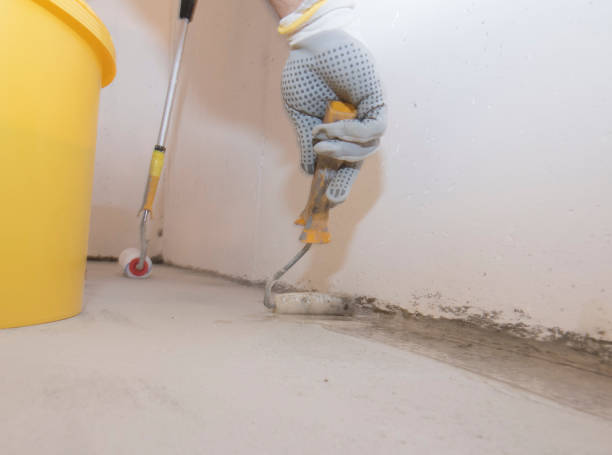 Best Pest Exclusion Services  in Colon, MI